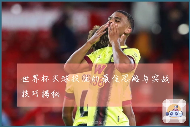 世界杯买球投注的最佳思路与实战技巧揭秘