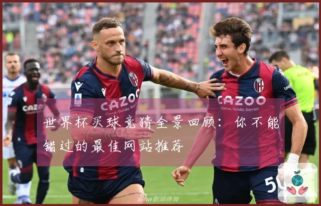 世界杯买球竞猜全景回顾：你不能错过的最佳网站推荐