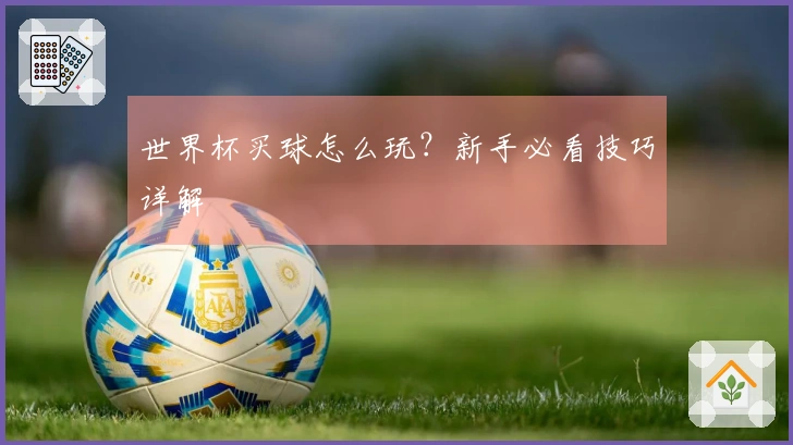 世界杯买球怎么玩？新手必看技巧详解