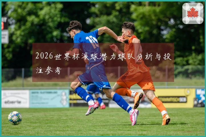 2026世界杯滚球潜力球队分析与投注参考