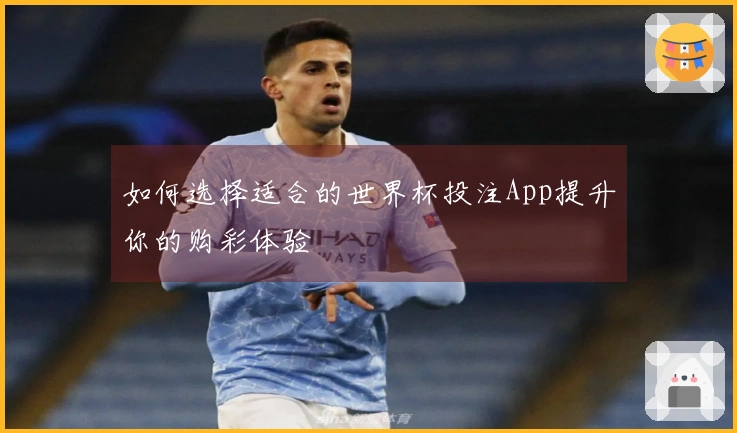 如何选择适合的世界杯投注App提升你的购彩体验