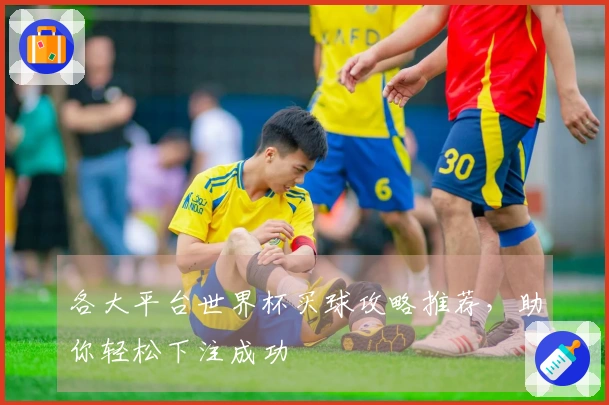 各大平台世界杯买球攻略推荐，助你轻松下注成功