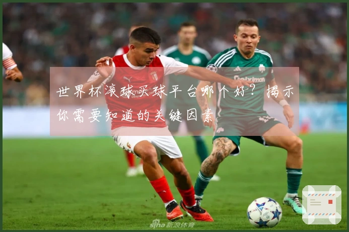世界杯滚球买球平台哪个好？揭示你需要知道的关键因素