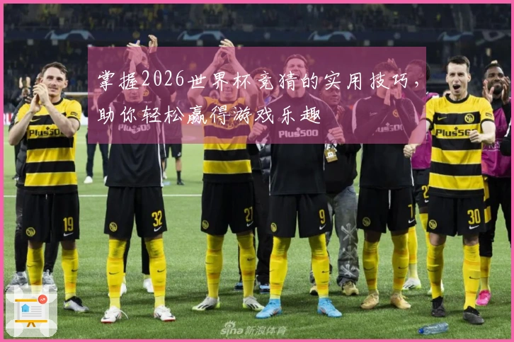 掌握2026世界杯竞猜的实用技巧，助你轻松赢得游戏乐趣