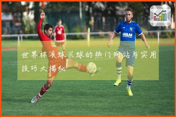 世界杯滚球买球的热门网站与实用技巧大揭秘