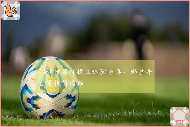 2026世界杯投注体验分享，哪些平台更值得信赖