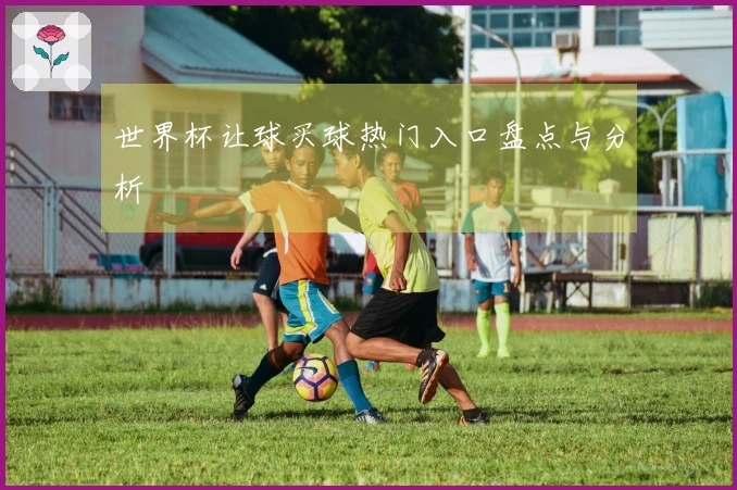 世界杯让球买球热门入口盘点与分析