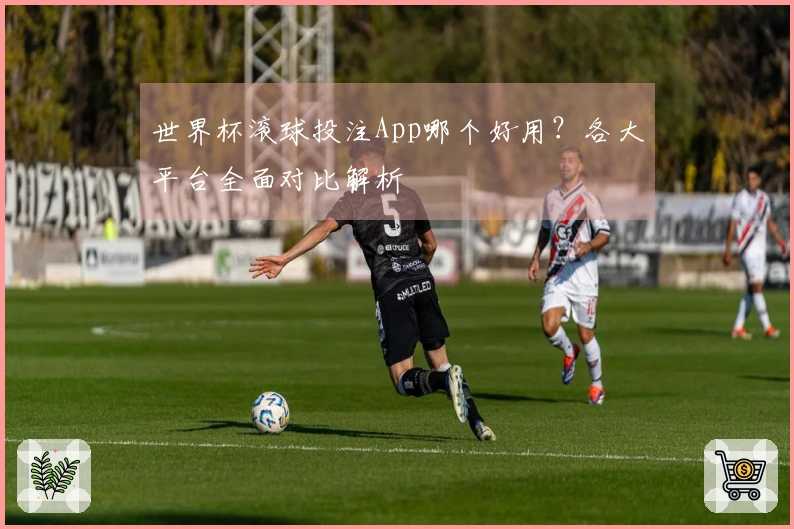 世界杯滚球投注App哪个好用？各大平台全面对比解析