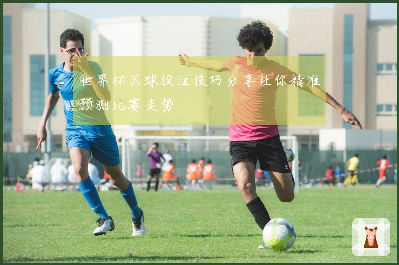 世界杯买球投注技巧分享让你精准预测比赛走势