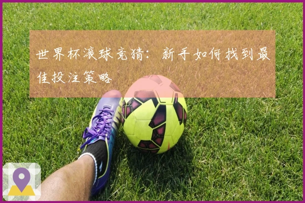 世界杯滚球竞猜：新手如何找到最佳投注策略
