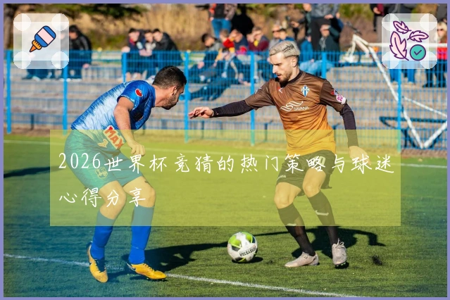 2026世界杯竞猜的热门策略与球迷心得分享
