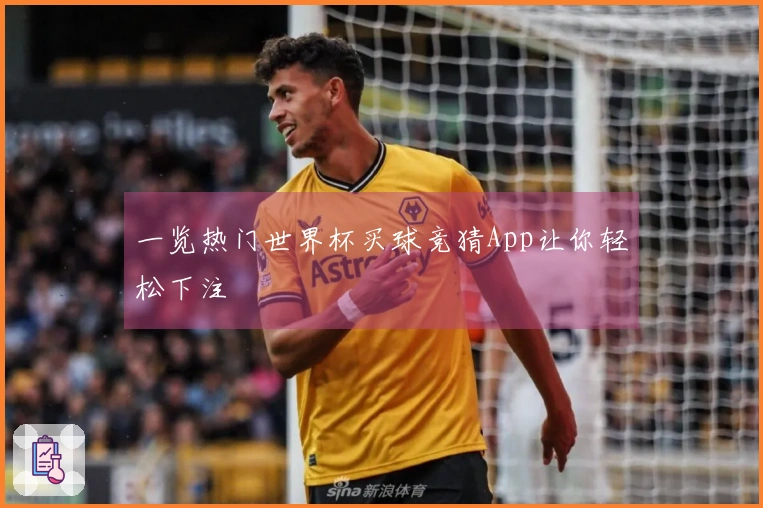 一览热门世界杯买球竞猜App让你轻松下注
