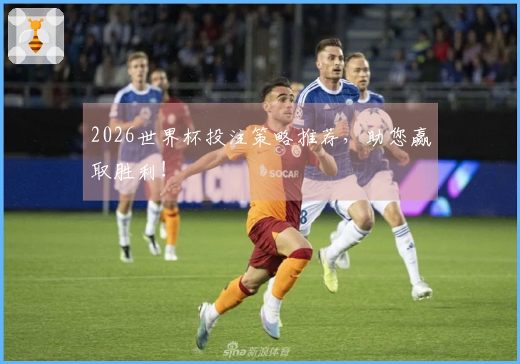 2026世界杯投注策略推荐，助您赢取胜利！