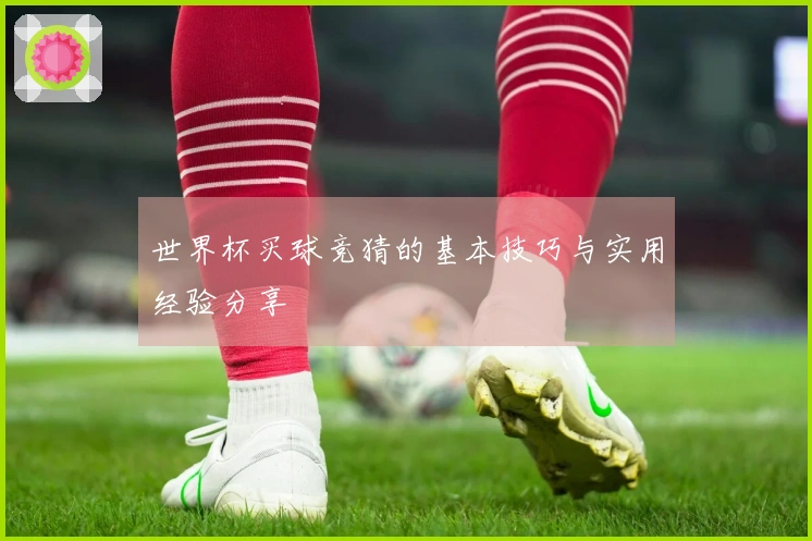 世界杯买球竞猜的基本技巧与实用经验分享