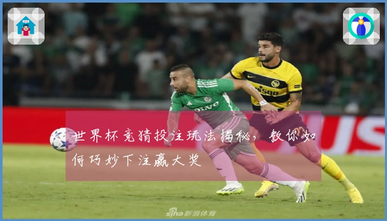 世界杯竞猜投注玩法揭秘，教你如何巧妙下注赢大奖