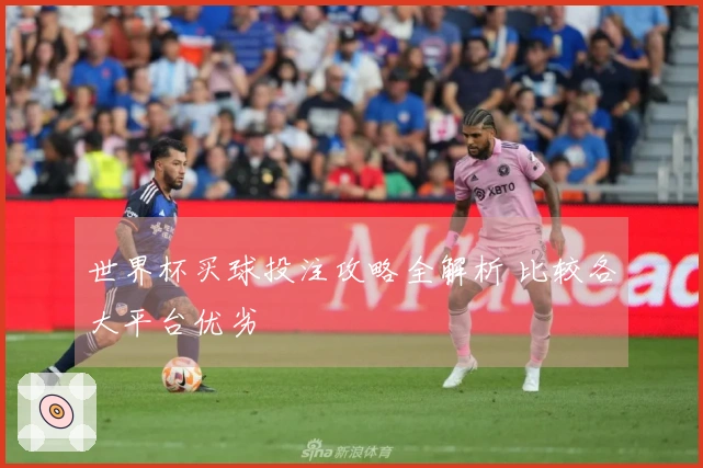 世界杯买球投注攻略全解析 比较各大平台优劣